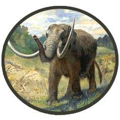 Extinct mammals