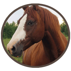 Hoofed